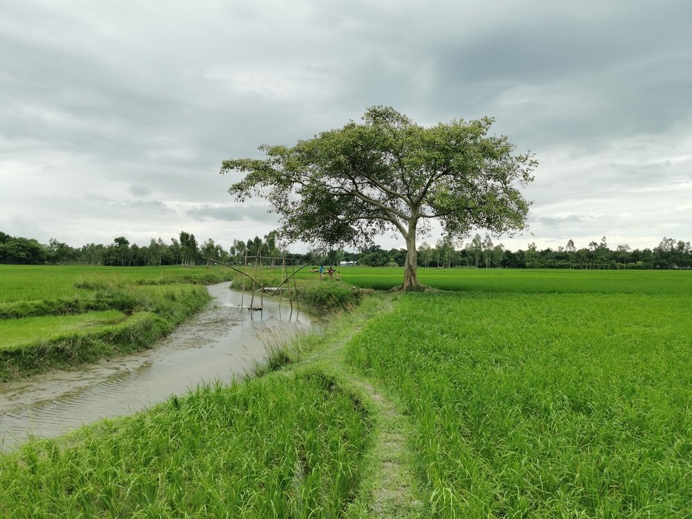 Photograph by Belal Hossain