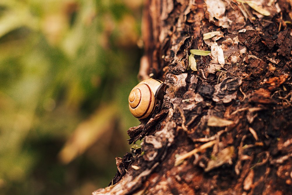 Photograph by Наталья Кеворкова