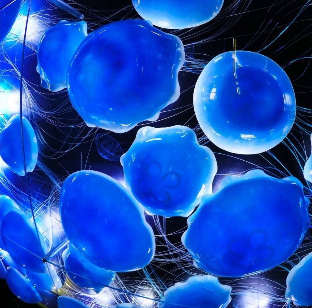 Photograph by Кристина Гареева