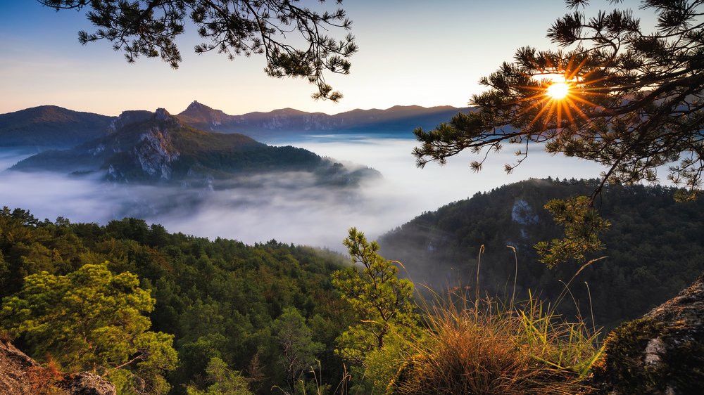 First touch of light