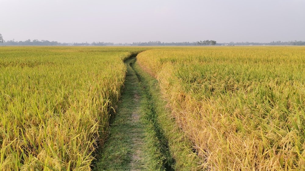 Photograph by Belal Hossain