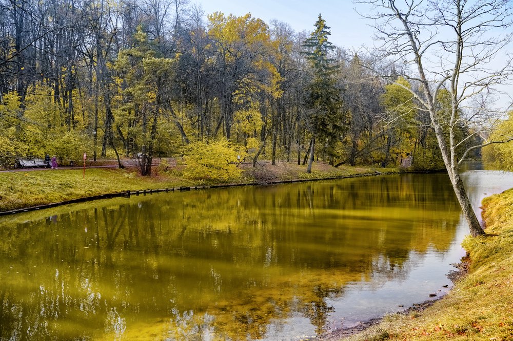 Photograph by Александр Кочергин