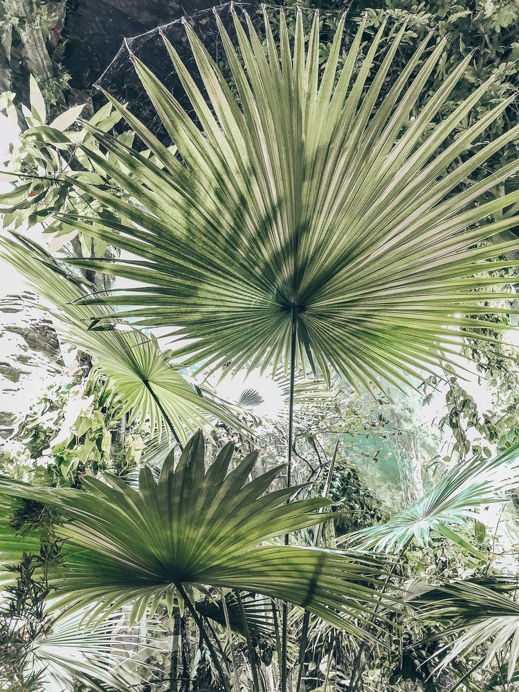 Photograph by Наталья Кеворкова