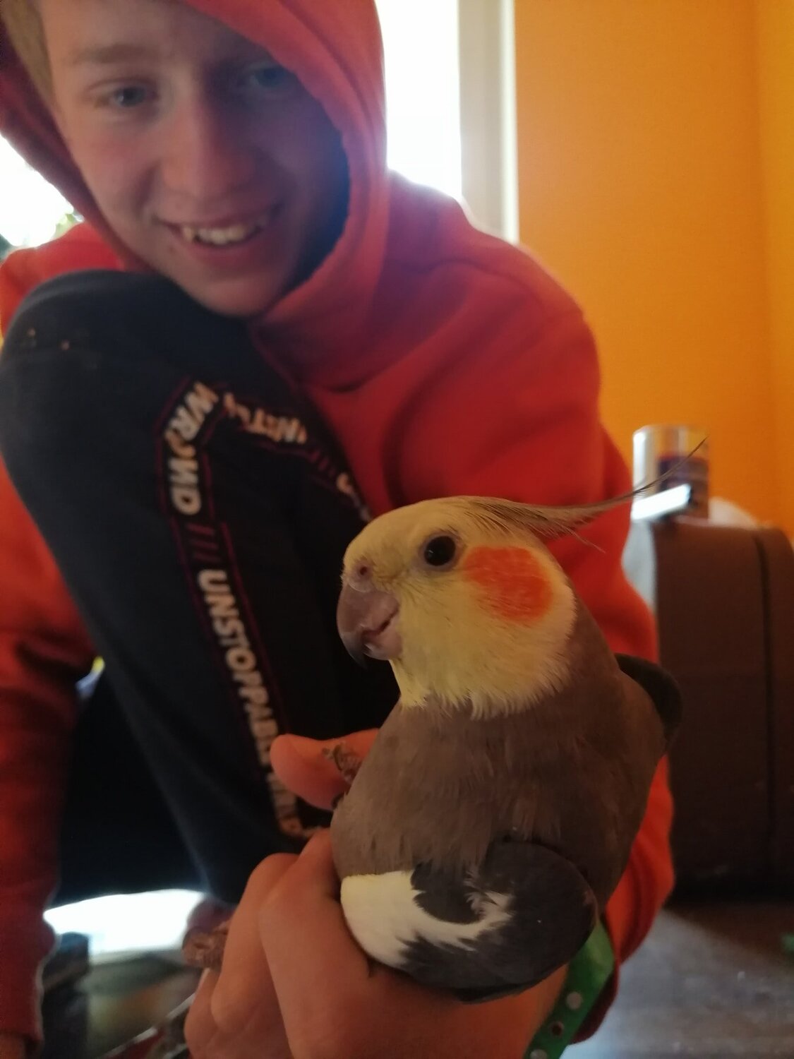 Photo #5058086