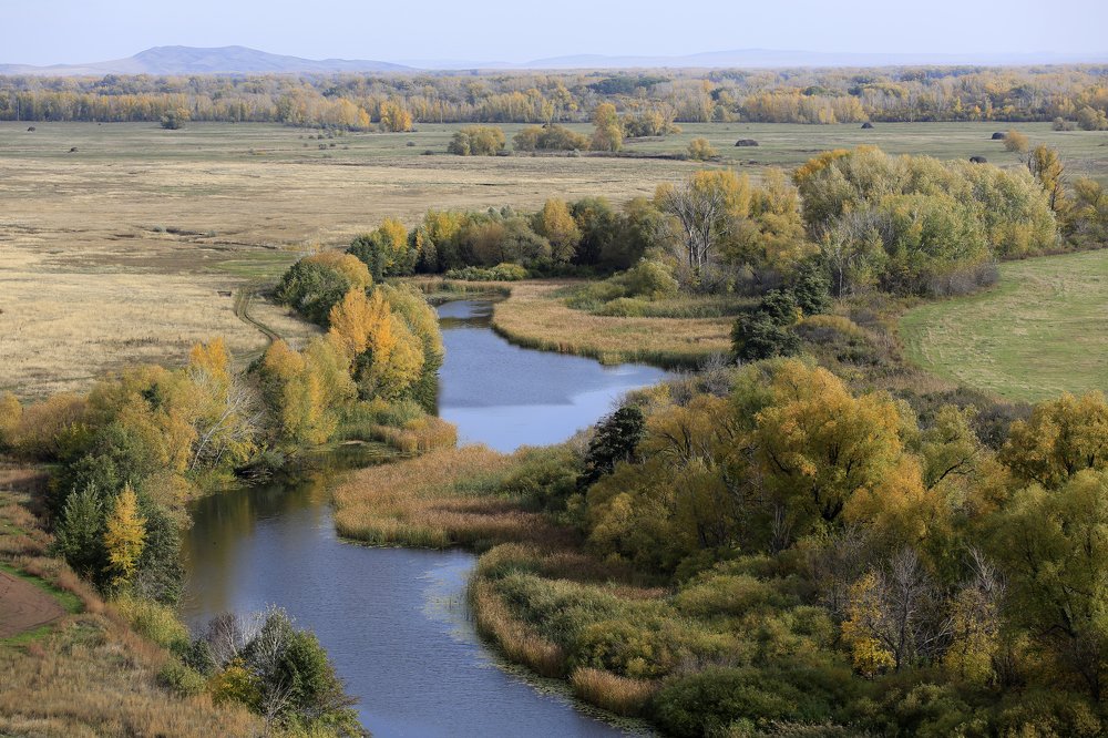 Фотография автора Олег Грачёв
