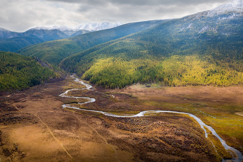 Фотография автора Олег Грачёв