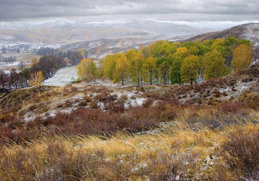 Фотография автора Олег Грачёв