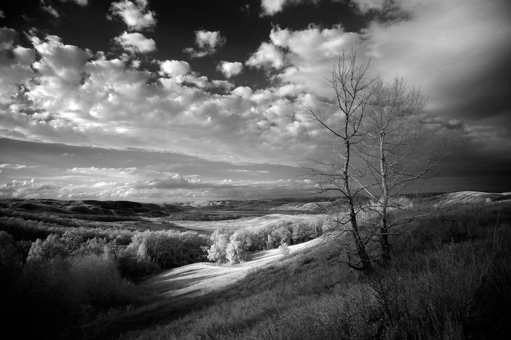 Фотография автора Олег Грачёв