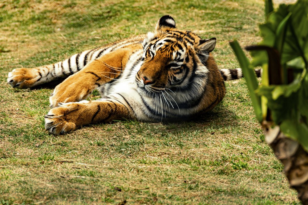 Photograph by Esteban Soria