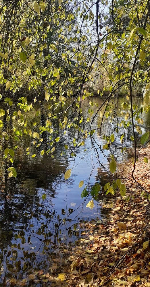 Photograph by Любовь Макарова