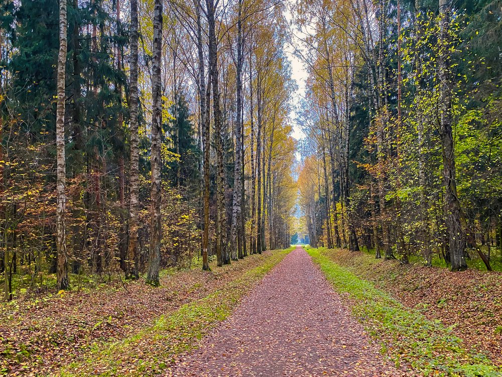 Photograph by Дмитрий Ильин