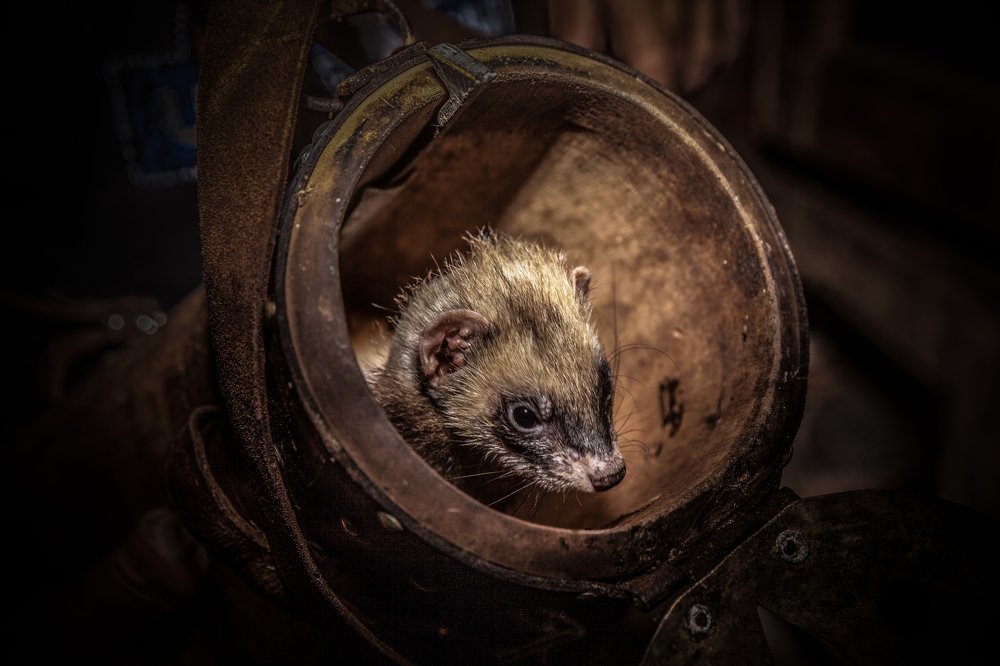 Photograph by Jose Luis Mendez Fernandez