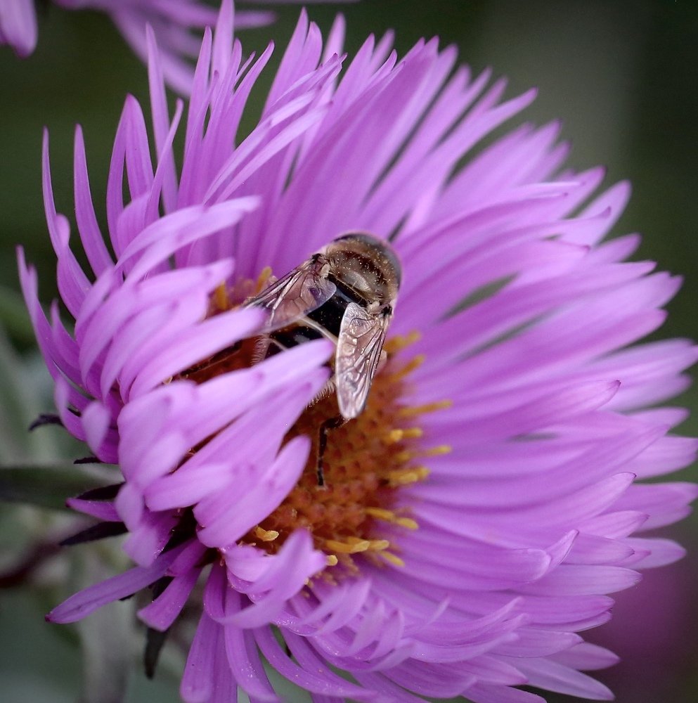 Photograph by Михаил