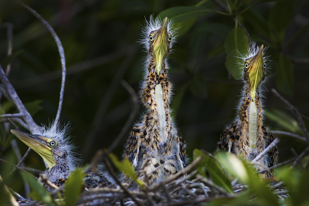 Фотография автора Tamara Maria Blazquez Haik
