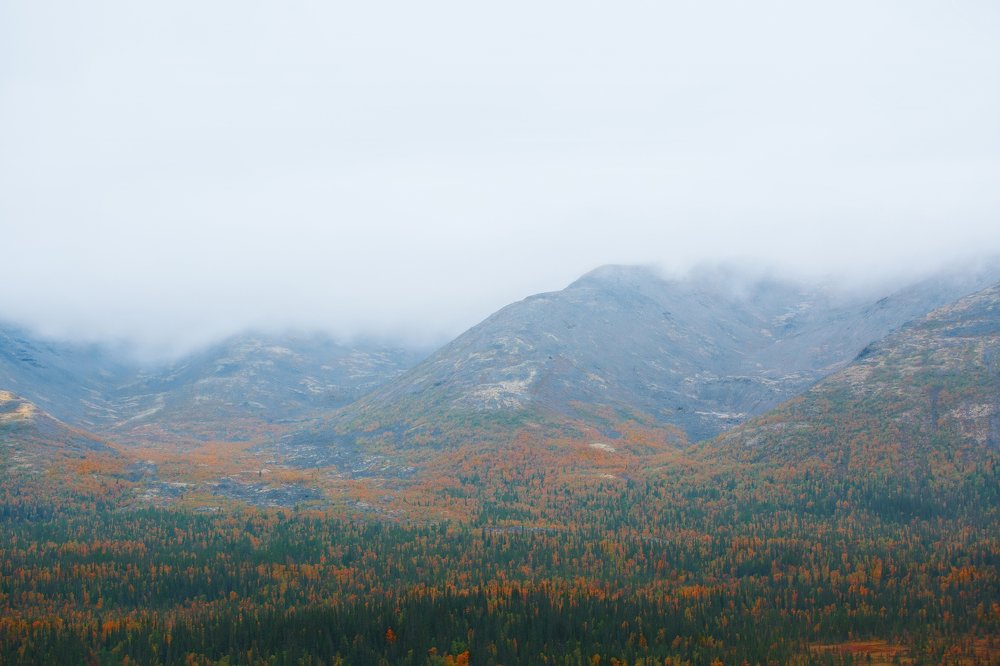 Photograph by Лана Полякова