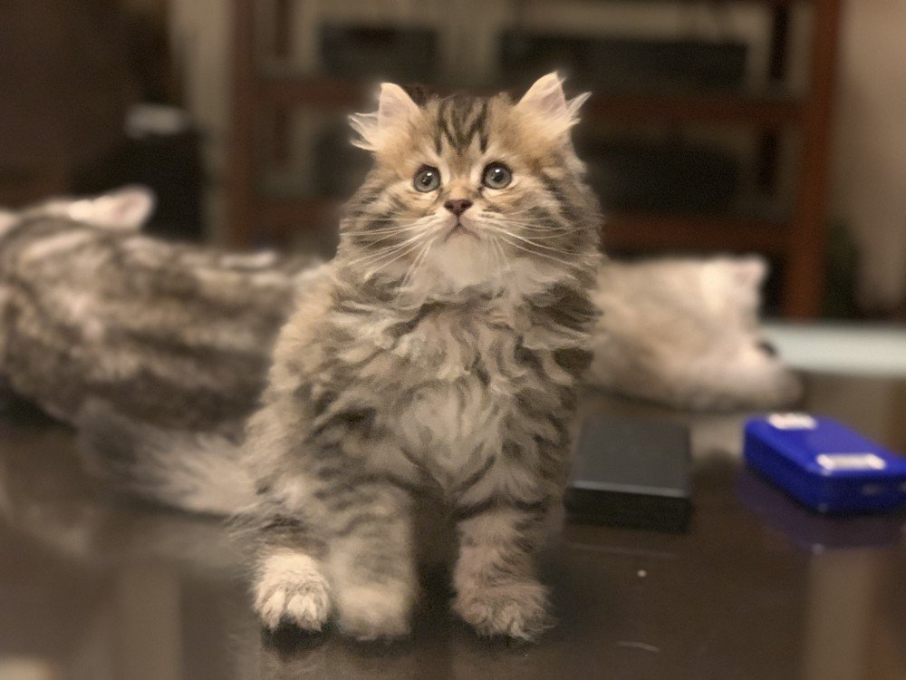 Photograph by Long Nguyen