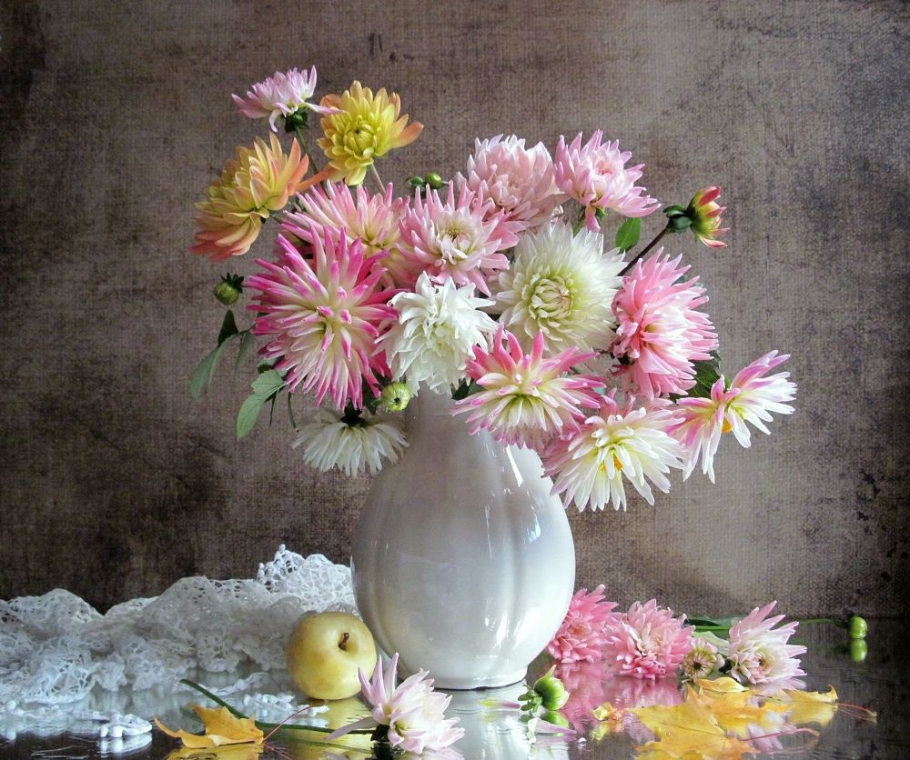 Цвели у друзей георгины...