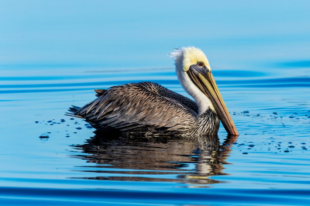 Photograph by Miguel Diaz