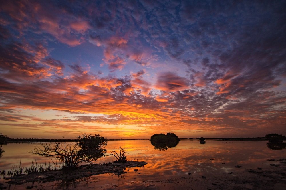 Photograph by Miguel Diaz