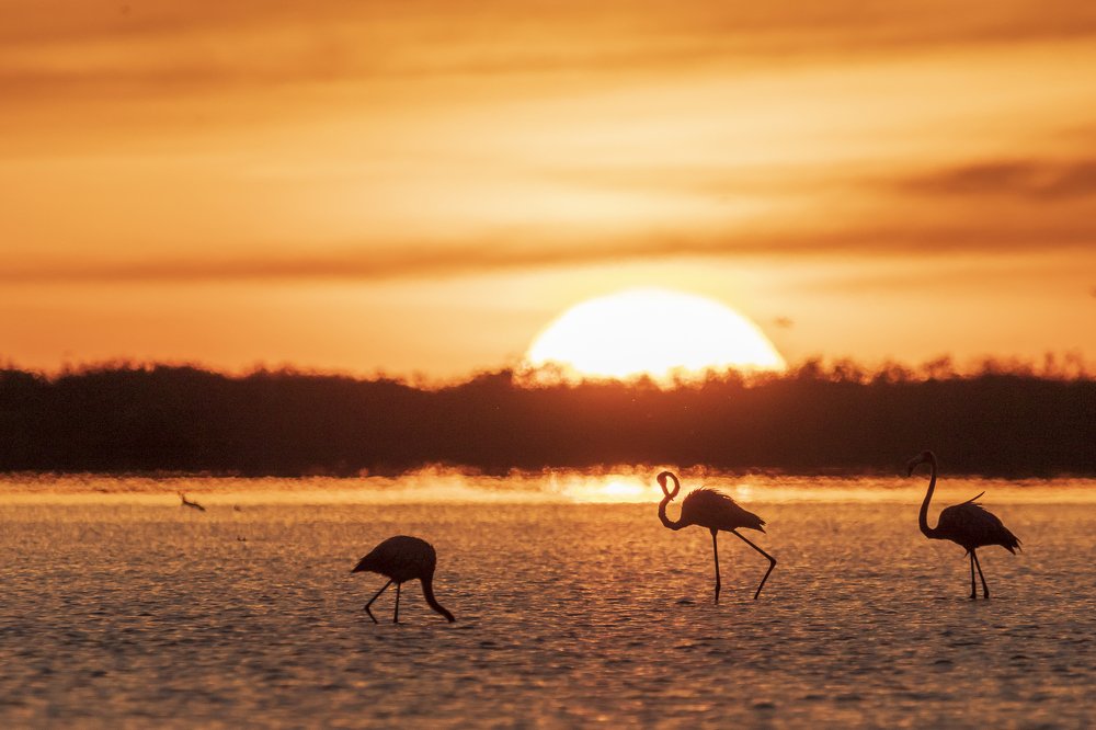 Photograph by Miguel Diaz