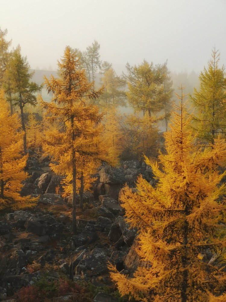 Photograph by Денис Саперов