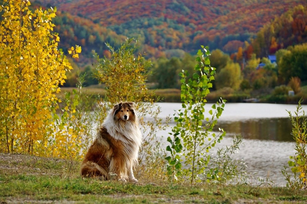 Photograph by Александр Попов