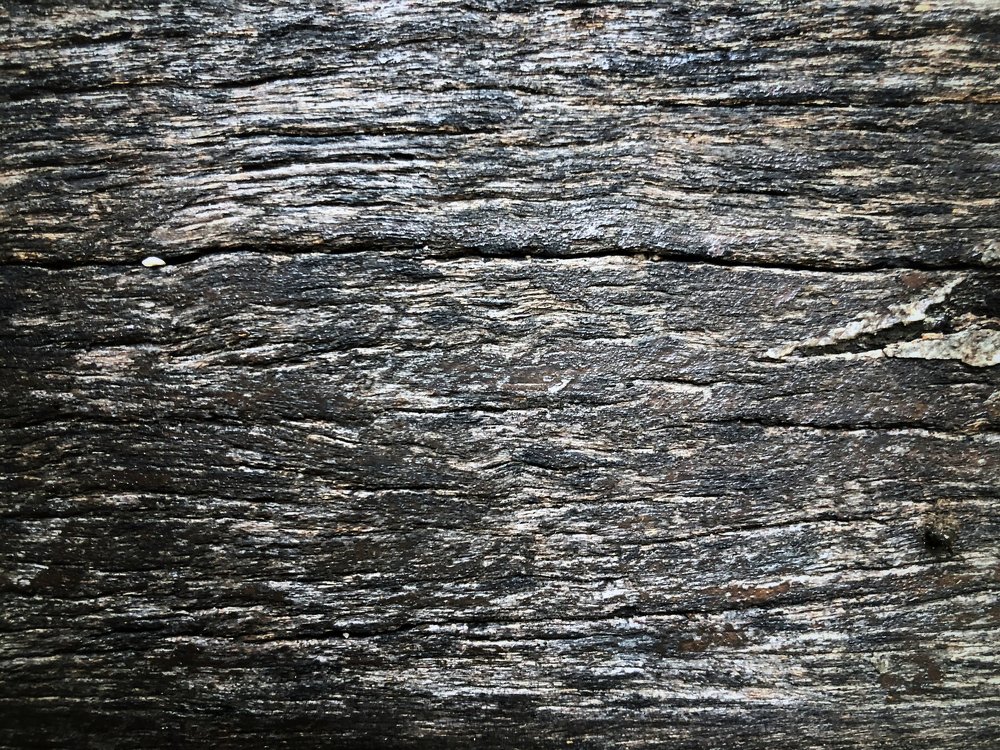 Photograph by Валерия Кузнецова