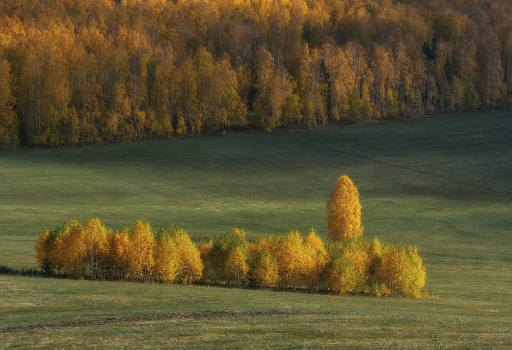 Photograph by Евгений Гецев