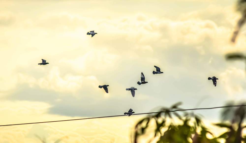 Фотография автора Ervin Legaspi Rizal
