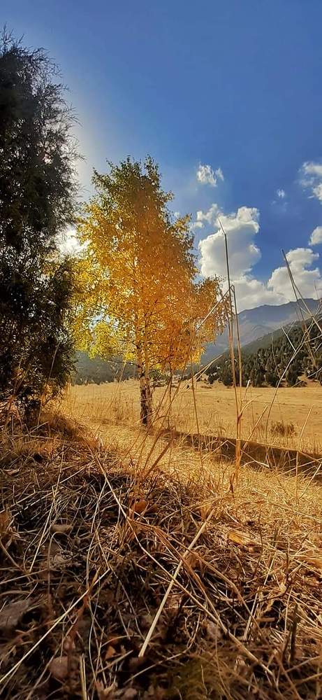 Photograph by Fadi Wael