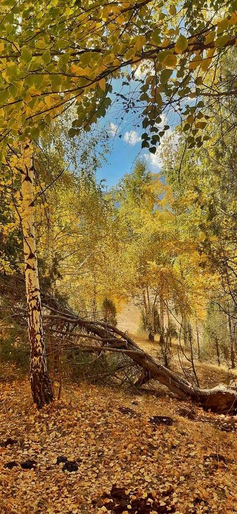 Photograph by Fadi Wael