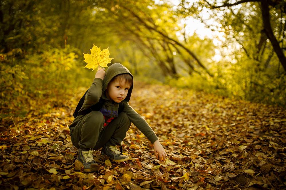 Фотография автора Анна Толмачева