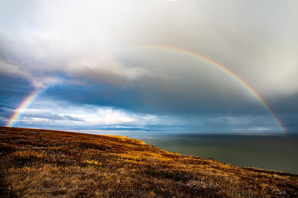 Фотография автора Александр Ши