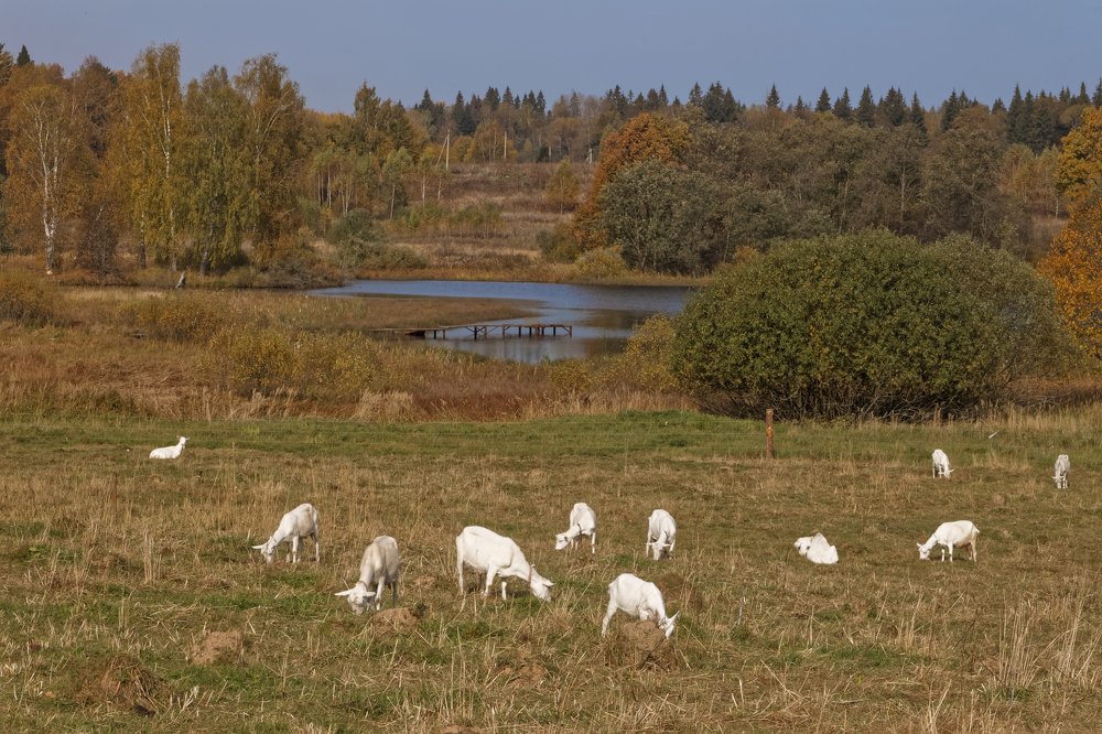 Photograph by Анатолий Калмыков