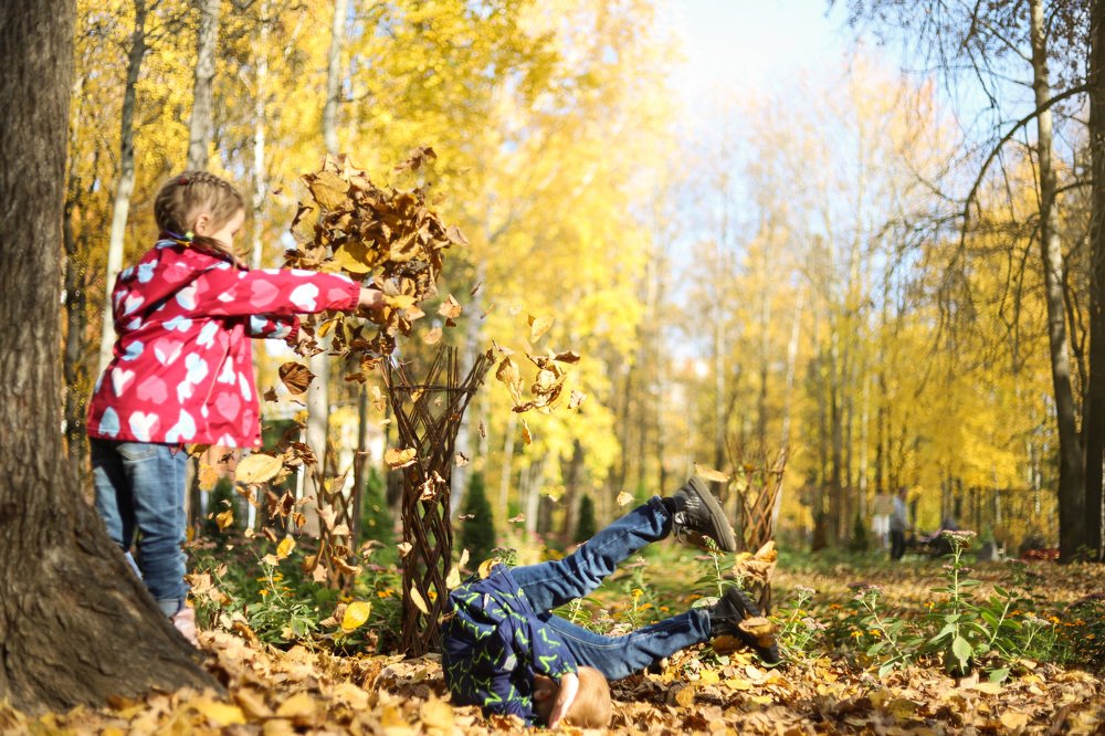 Photograph by Светлана Семакина