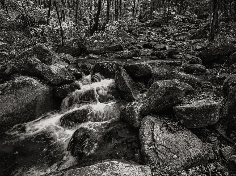 Photograph by ZHANG Hui