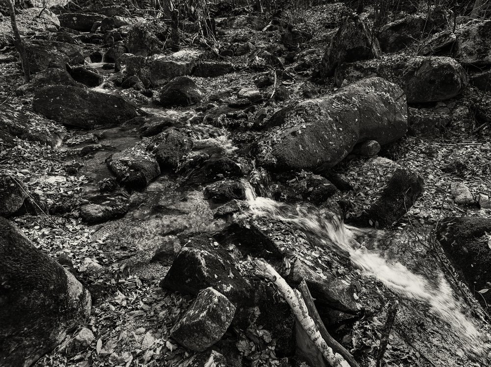 Photograph by ZHANG Hui