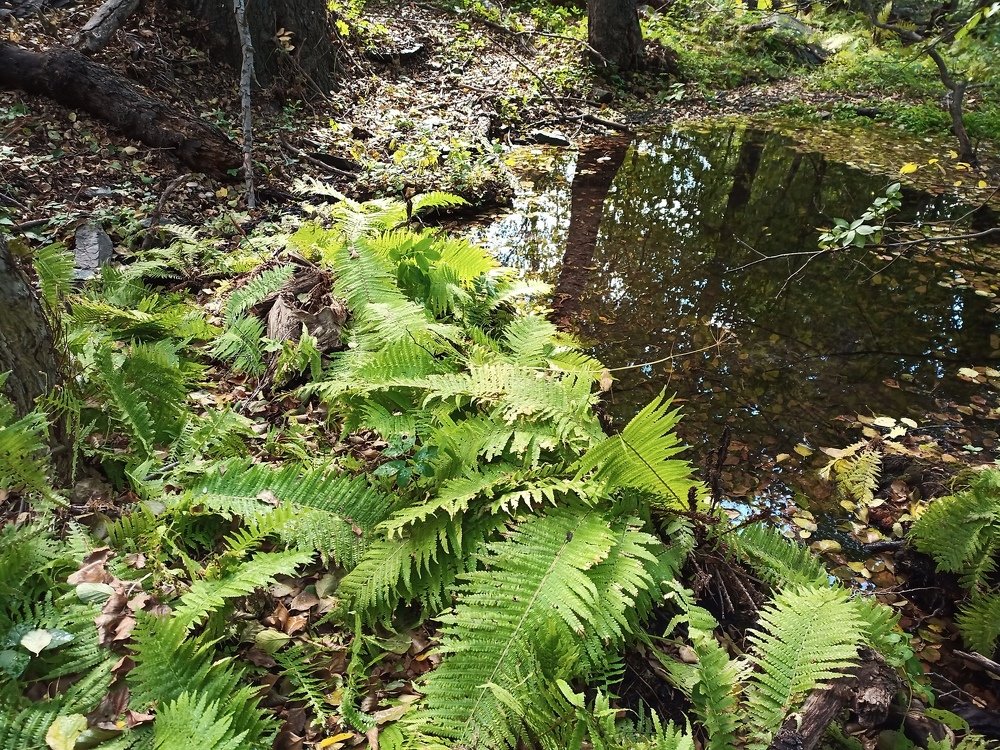 Photograph by петр чиков