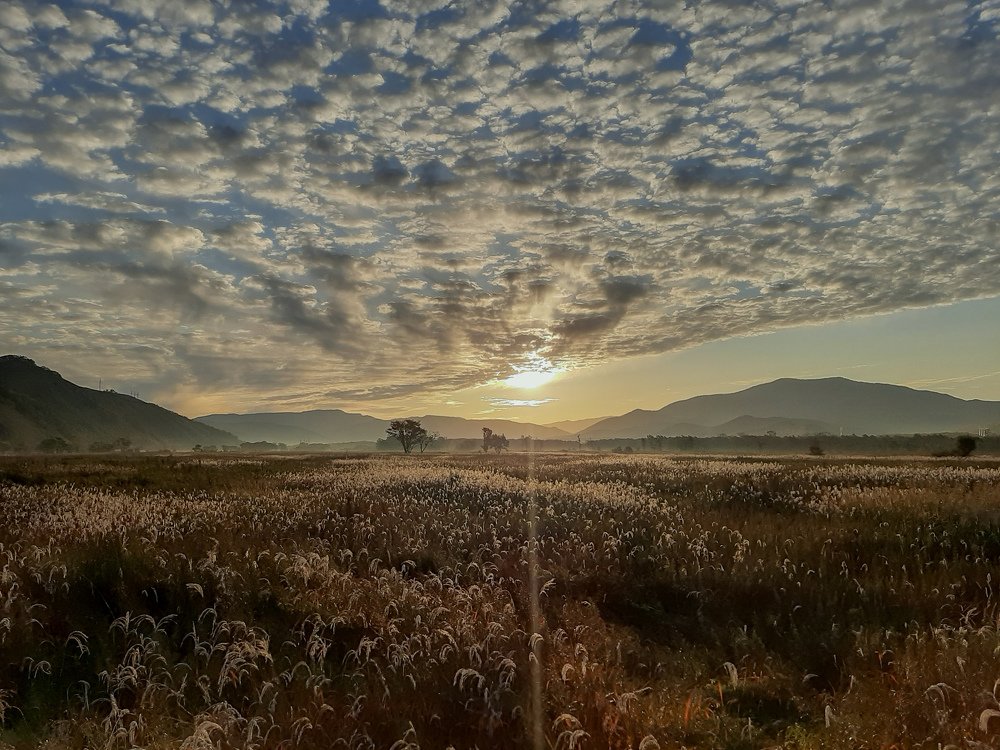 Photograph by Валентина Кананина