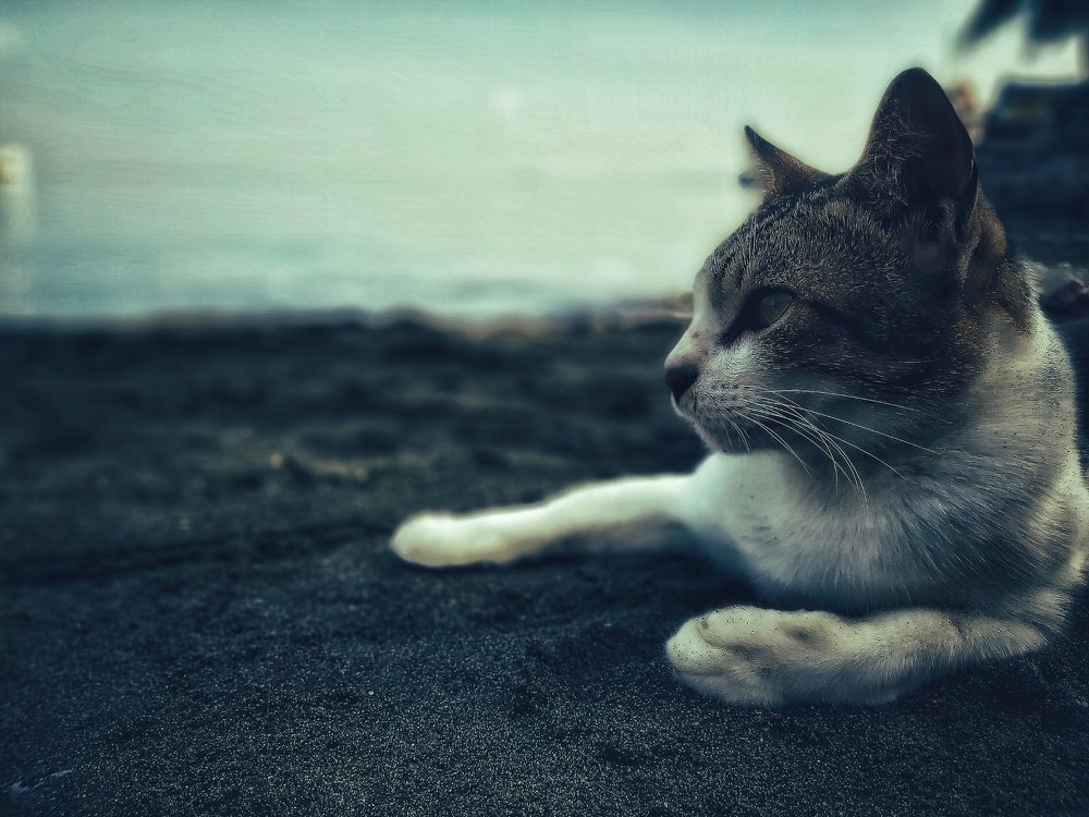 Photograph by Junryhle Adem