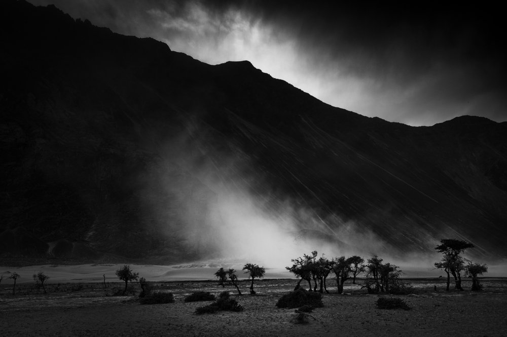 Light n Life in Rocky Desert