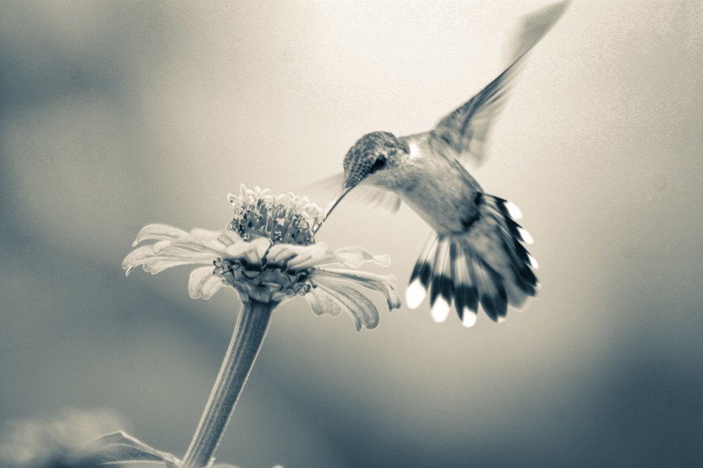 Photograph by Jesus Santamaría