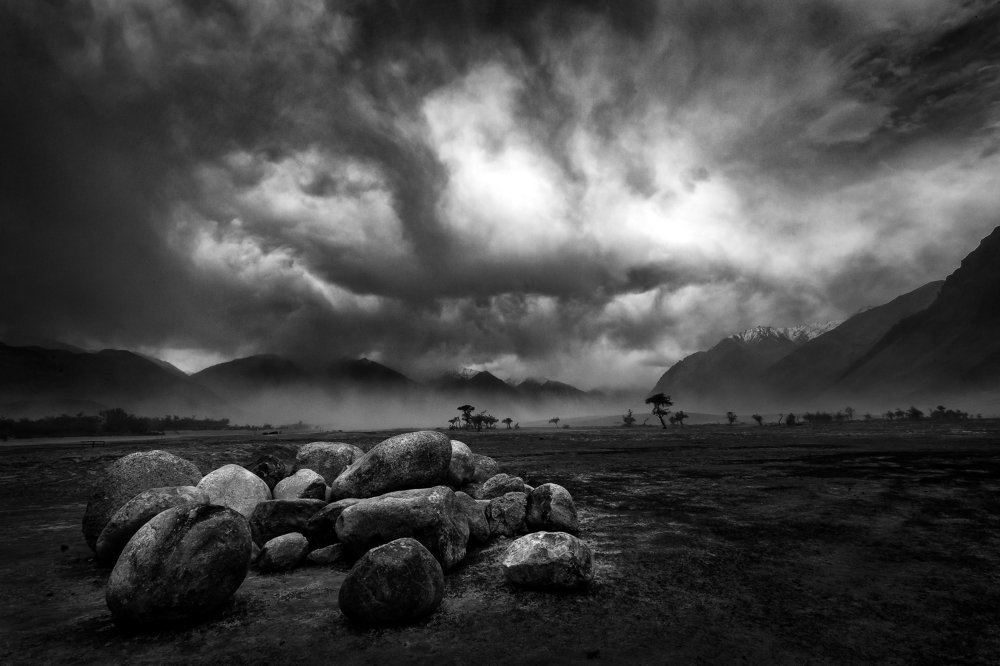 Light n Life in Rocky Desert