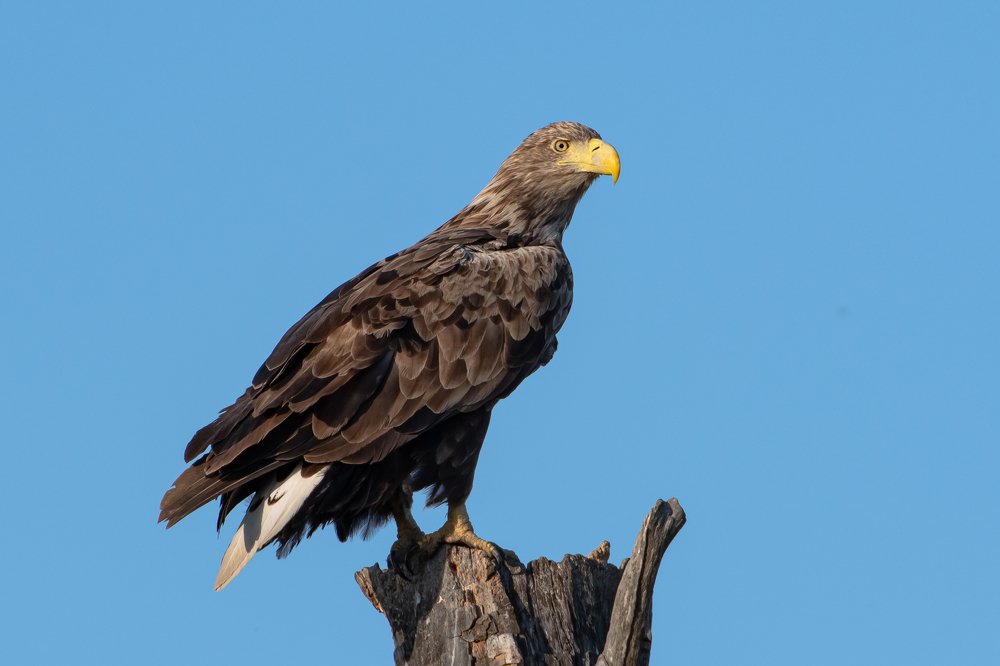 Photograph by Андрей Иванов