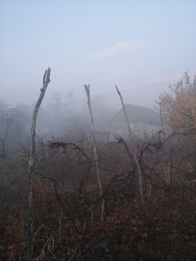 Photograph by Александр Симонов