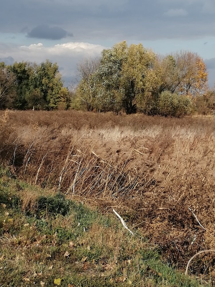 Photograph by Александр Симонов
