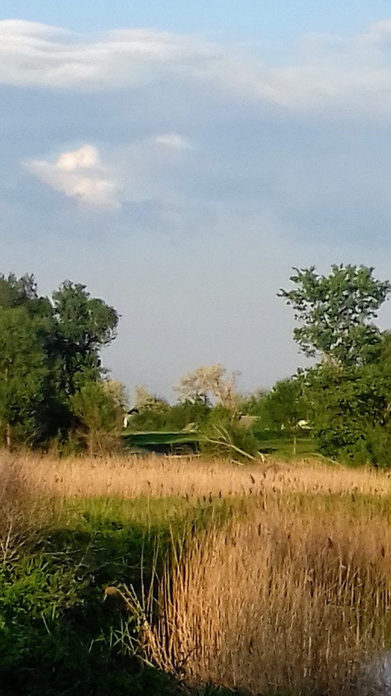 Photograph by Александр Симонов