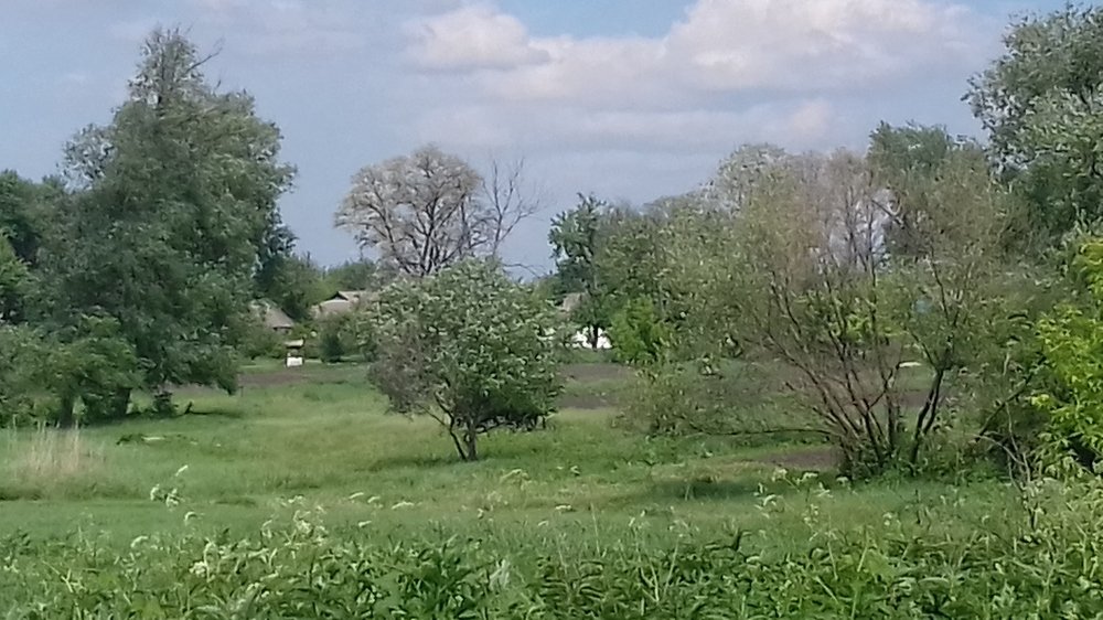 Photograph by Александр Симонов