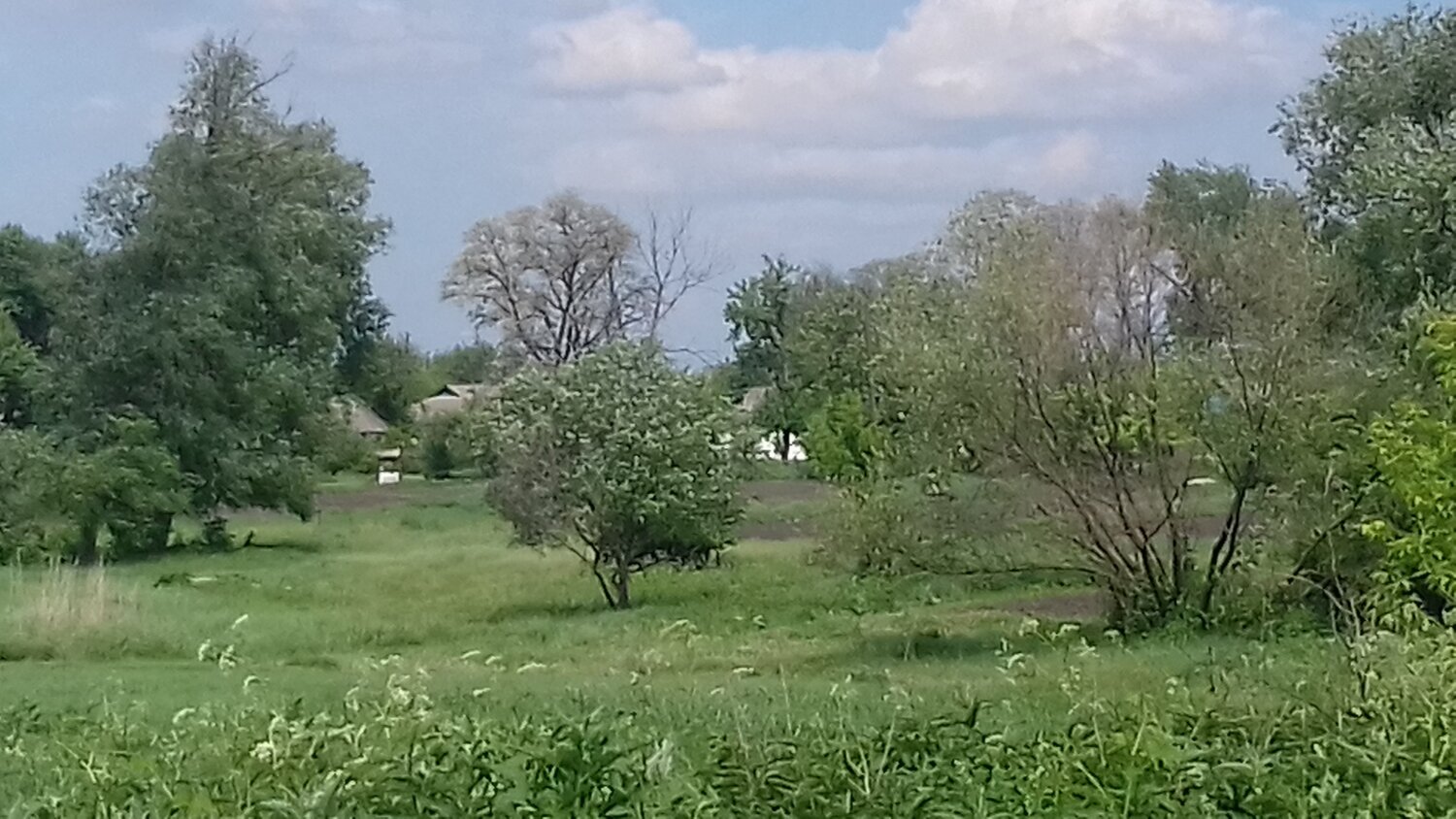 Photo #5058953