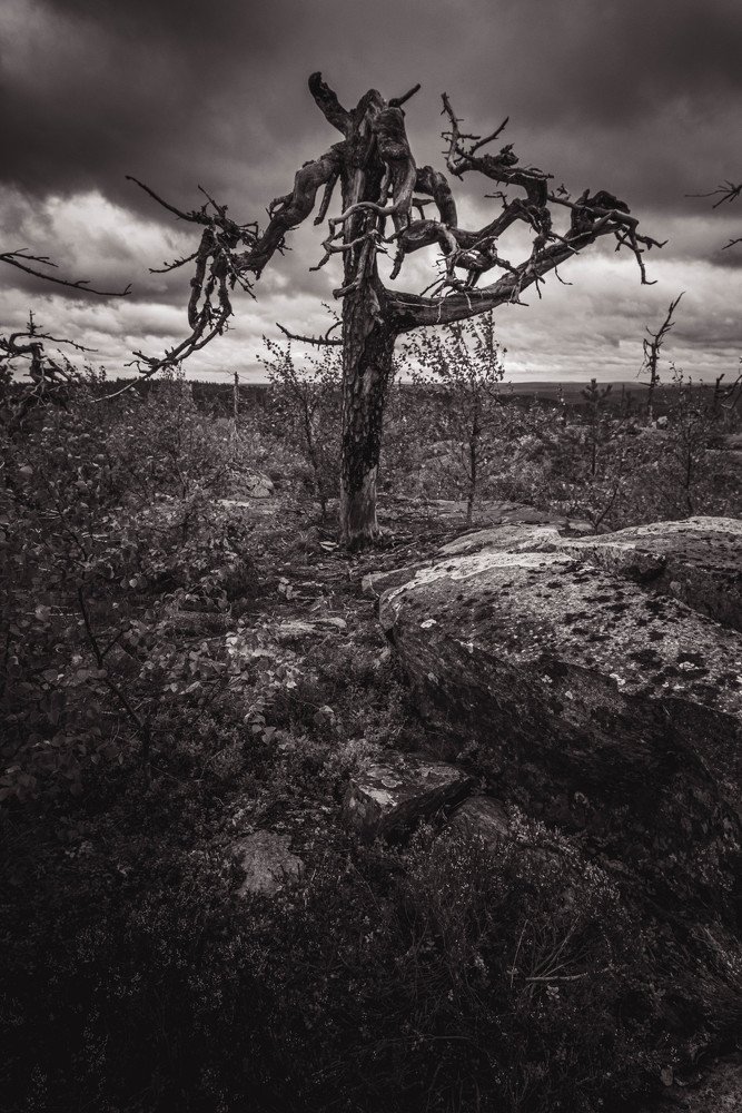 Photograph by Евгений Волосков